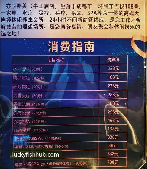 乐鱼体育平台正规性详解与使用体验分享